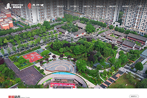 滕投集團 · 山東天行健發展有限公司