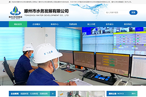 滕州市水務發展有限公司